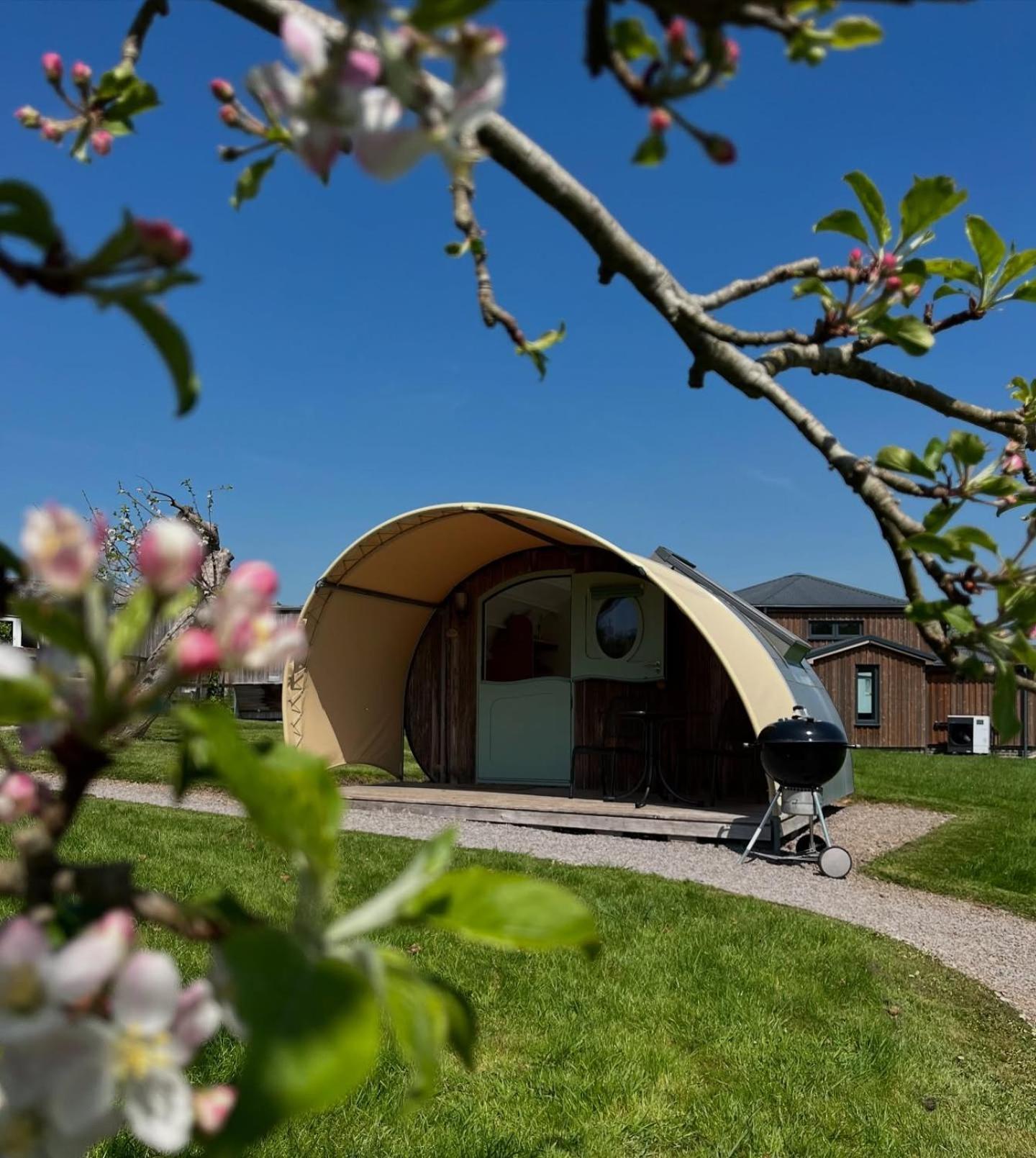 Middlewick Holiday Cottages กลาสตันเบอรี ภายนอก รูปภาพ